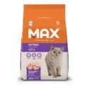MAX CAT GATITO