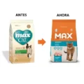MAX CAT GATO CASTRADO