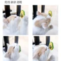 CATNIP PARA GATO - AGUACATE