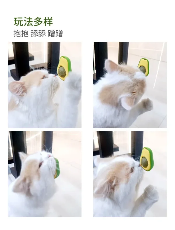 CATNIP PARA GATO - AGUACATE