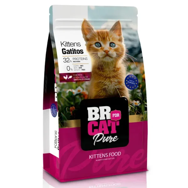 BR FOR CAT GATITO POLLO