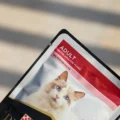 PRO PLAN GATO ADULTO POUCH 85GR