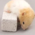 ROCKYCHEW LIMA DENTAL DE ROCA PARA HAMSTER